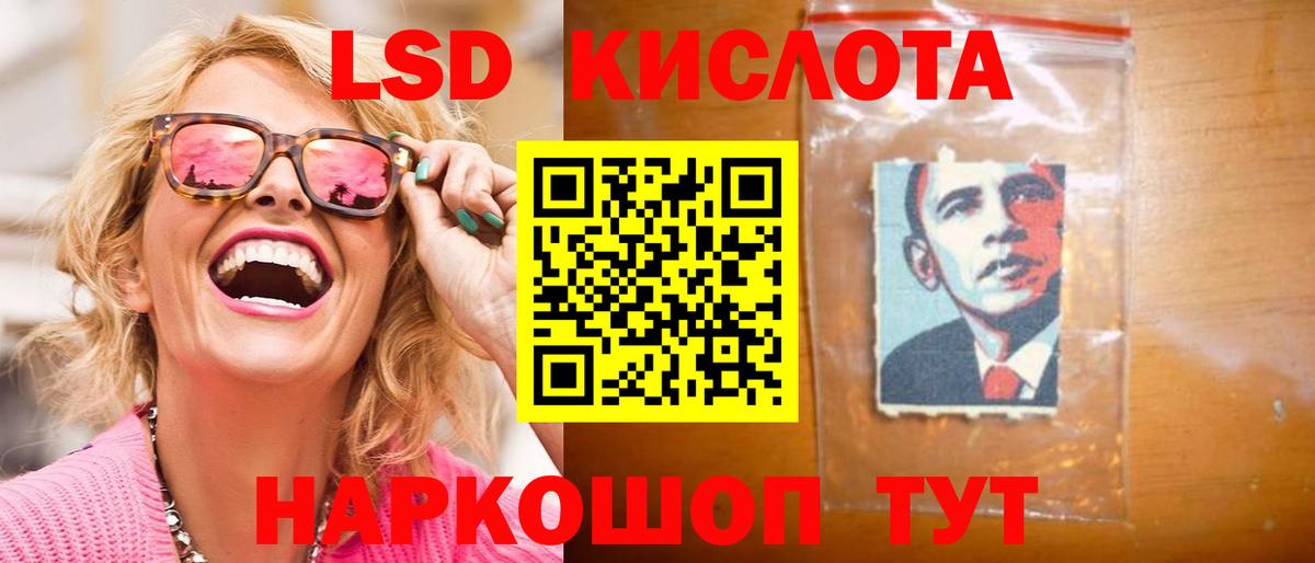 Кингисепп  кракен зеркало  Вход с VPN  LSD-25 экстази кислота 