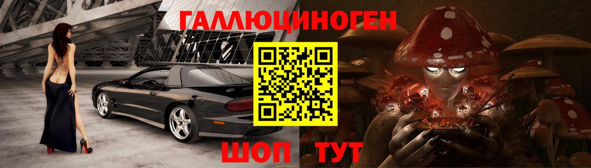 Псилоцибиновые грибы Cubensis Кингисепп